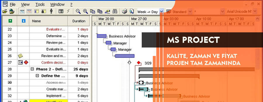 MS Project Online Eğitim